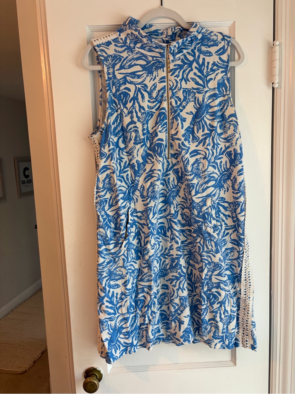Lilly Pulitzer Sleeveless Blue & White Printed Shift Dress